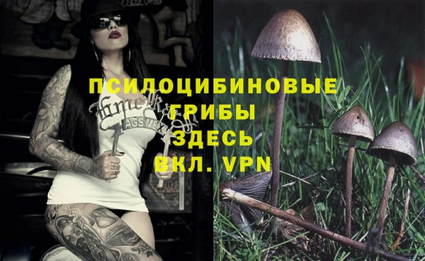 MDMA Premium VHQ Волосово