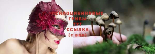 спиды Володарск