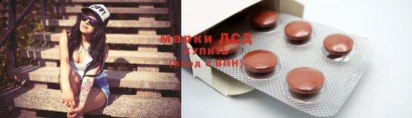 шишки Снежногорск