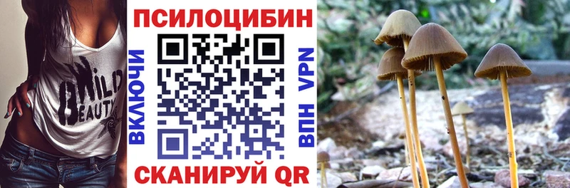 хочу   Осташков  Псилоцибиновые грибы GOLDEN TEACHER 